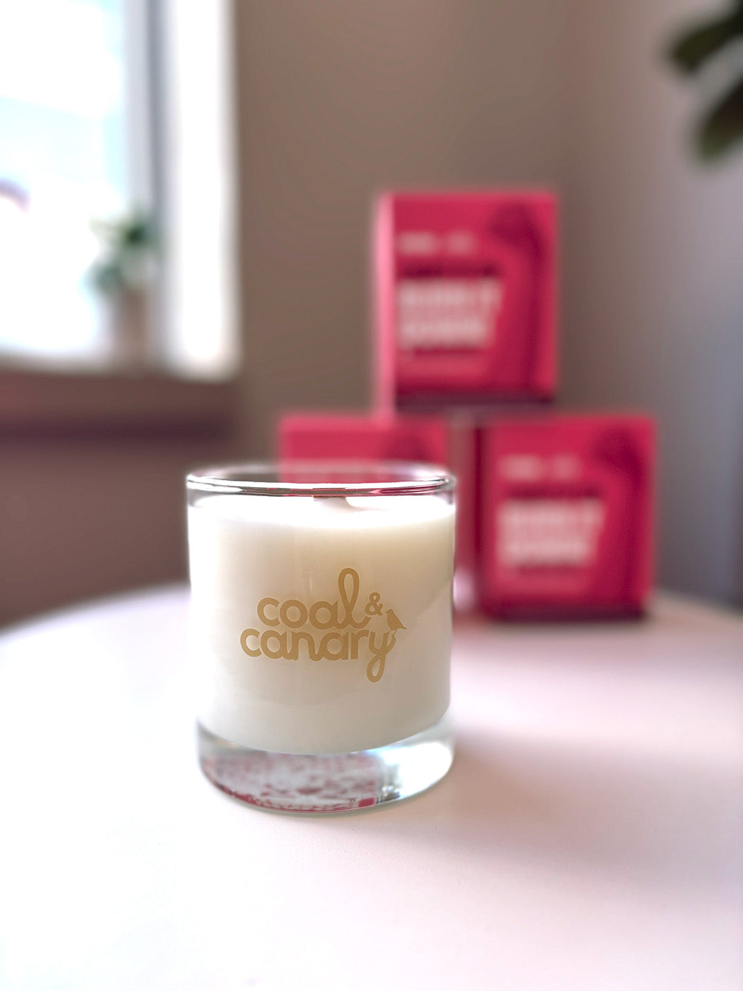 Coal and Canary x MNU Candle